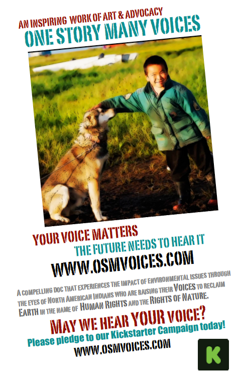 osmvFlyer